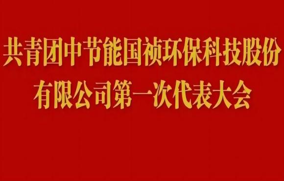 共青团中节能永利yl23455第一次代表大会成功召开