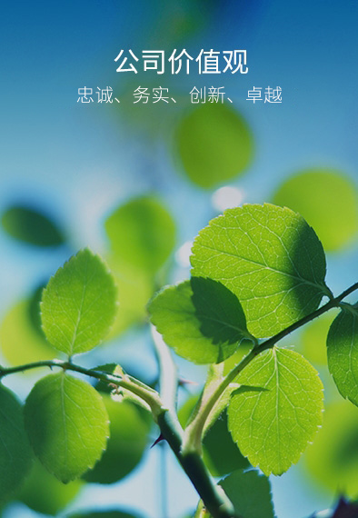 中国·永利yl23455(股份)有限公司-官方网站